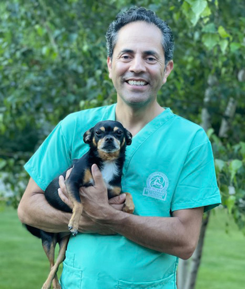 Dr. Gallegos, DVM